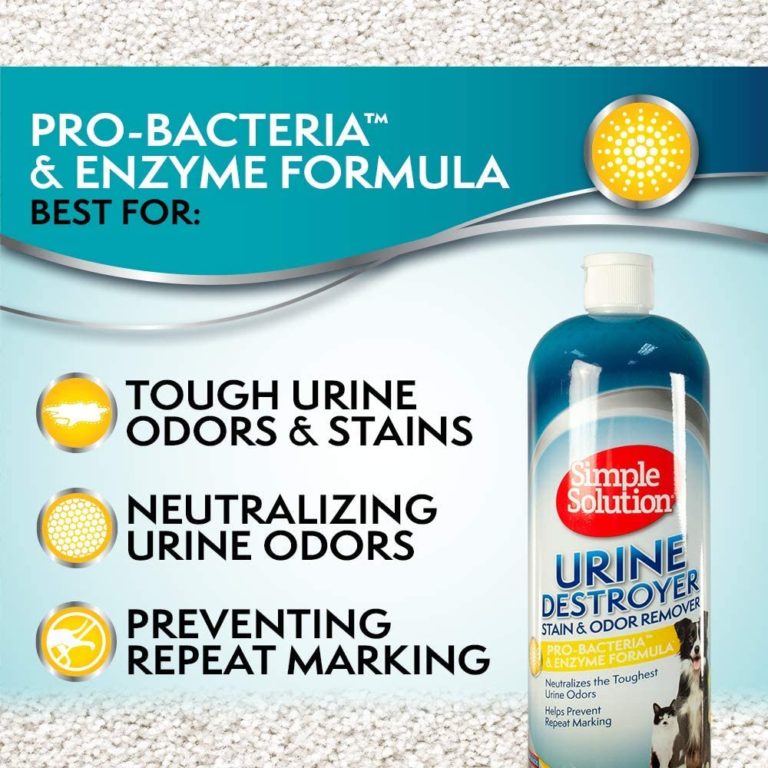 natural care urine stain and odor destroyer