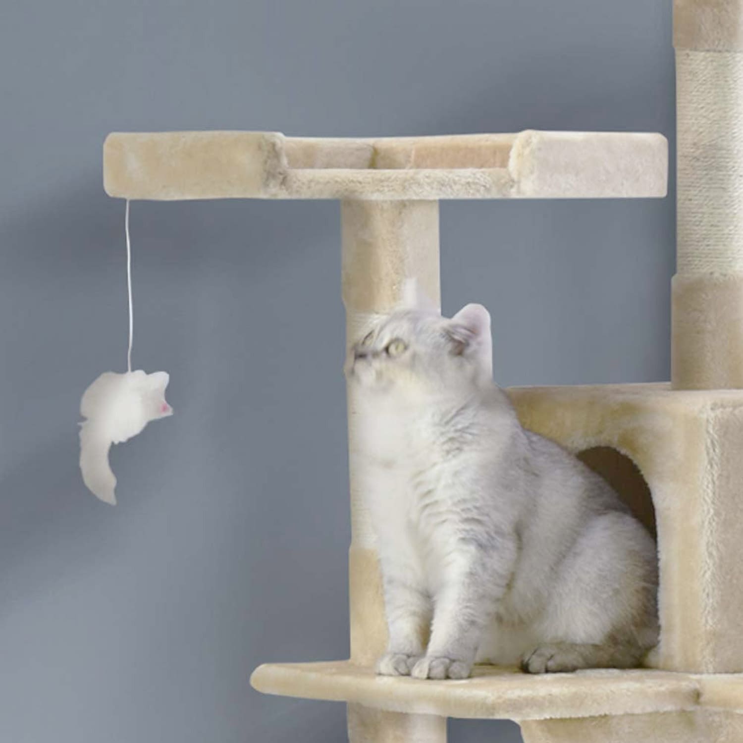 72" Cat Tree Condo - Image 5