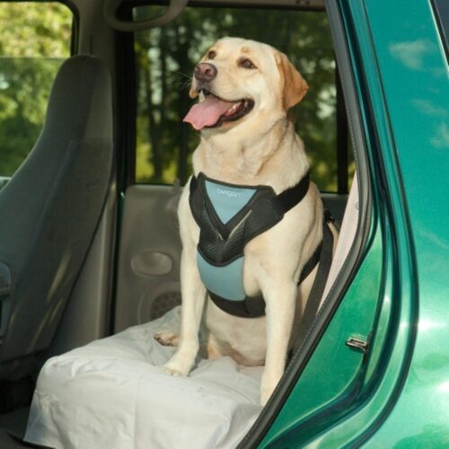 Dog Auto Harness W/ Tether -X-Large