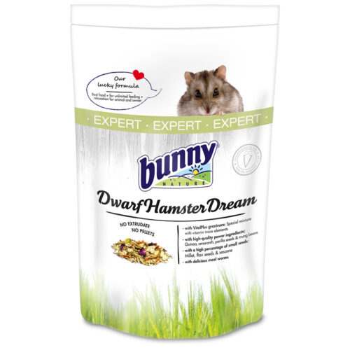 Dwarf Hamster Dream Expert