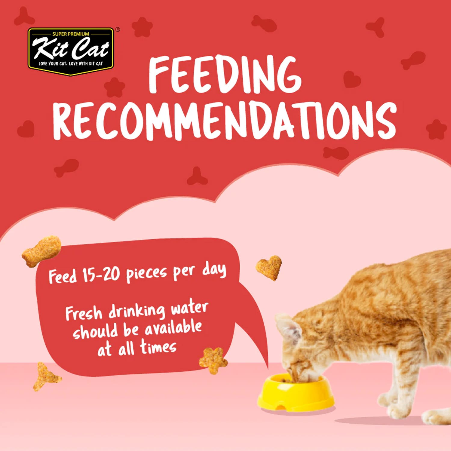 Kit Cat Kitty Crunch Beef Flavor 60g - Image 6