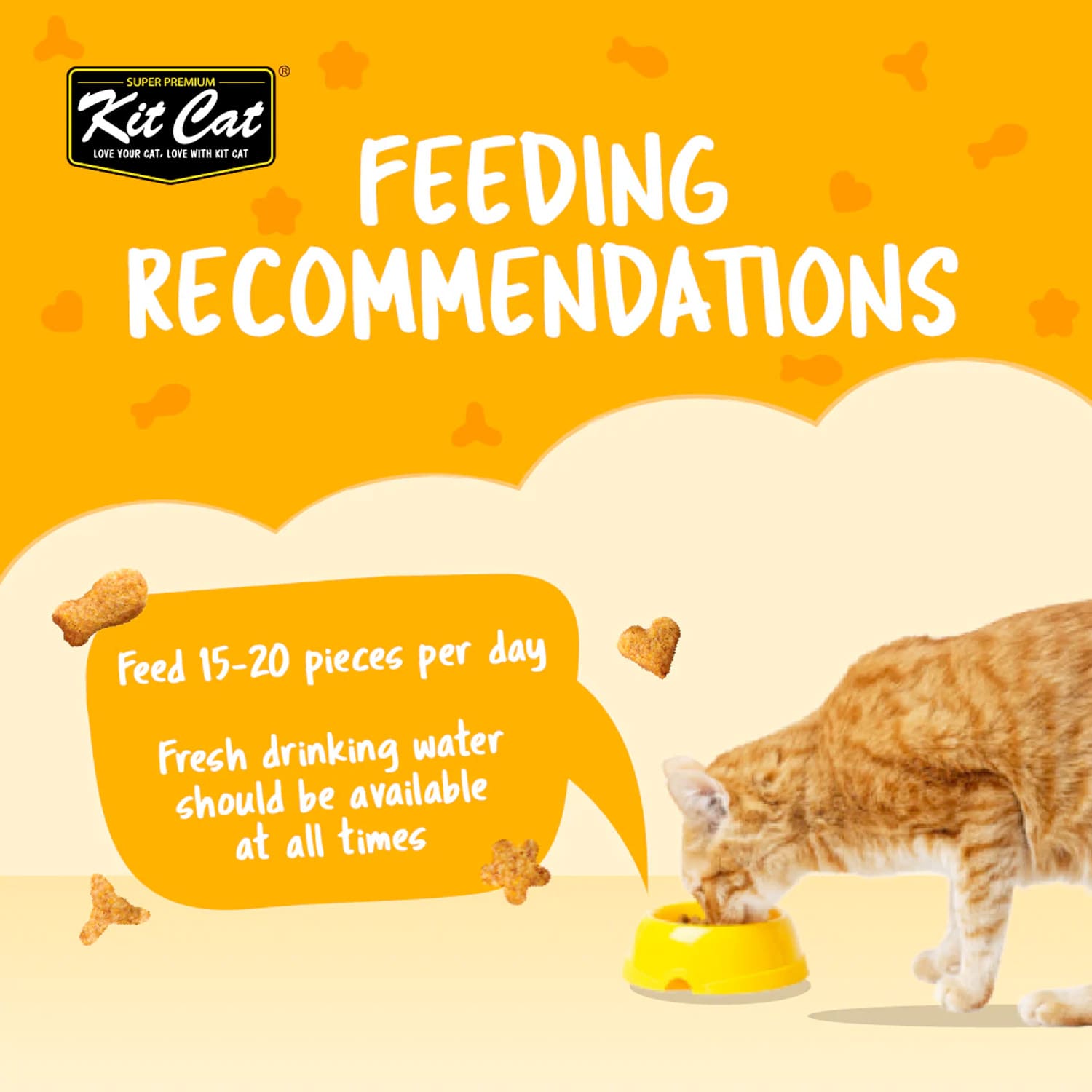 Kit Cat Kitty Crunch Chicken Flavor 60g - Image 6