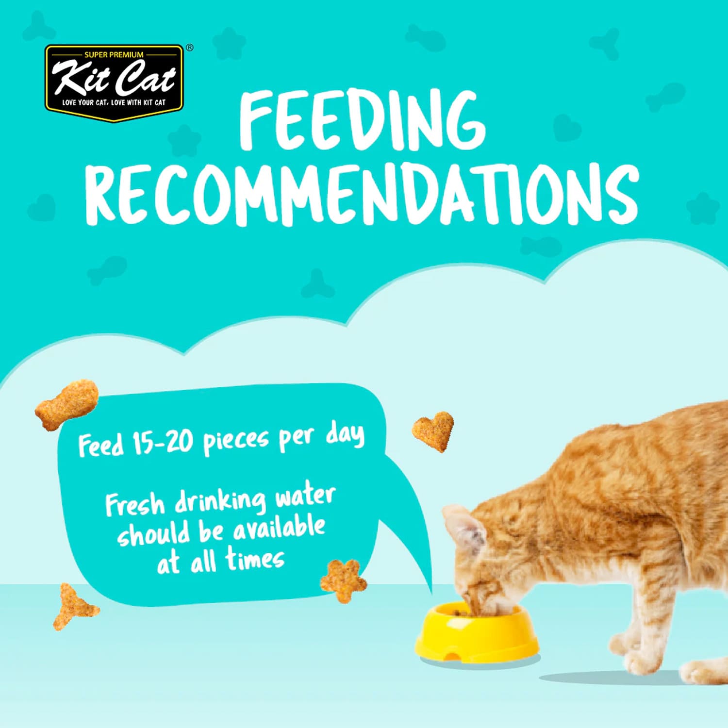 Kit Cat Kitty Crunch Lamb Flavor 60g - Image 6