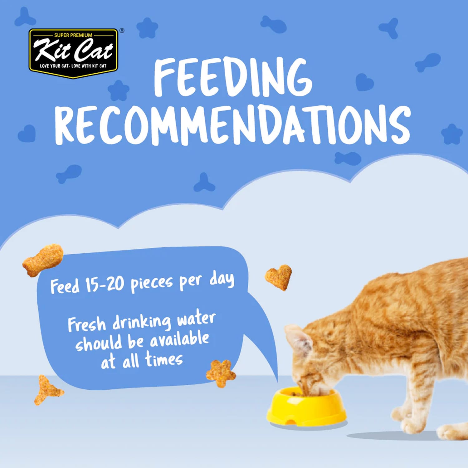 Kit Cat Kitty Crunch Seafood Flavor 60g - Image 6