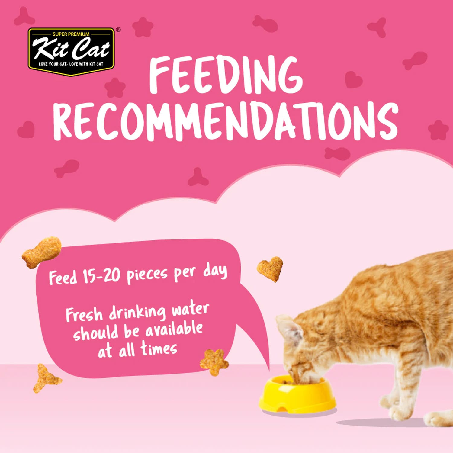 Kit Cat Kitty Crunch Tuna Flavor 60g - Image 6