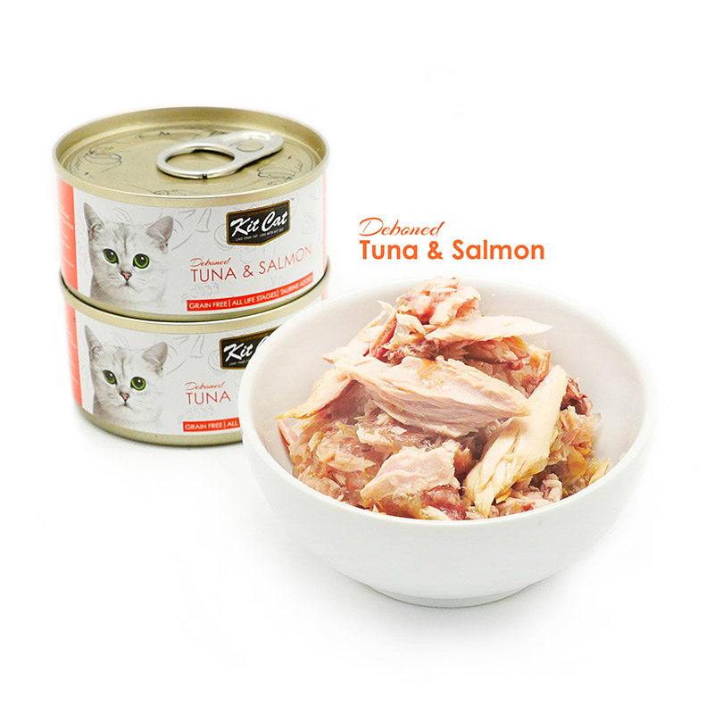 kit cat tuna and salmon