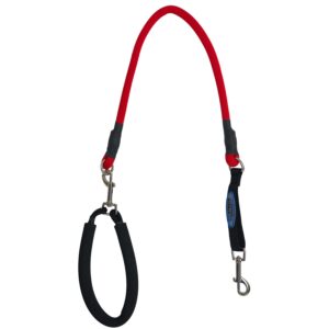 Leash Medium Red