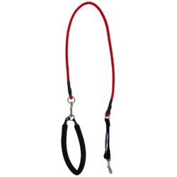 ez steps dog leash