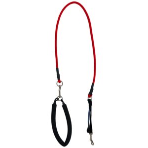 Leash Small Red