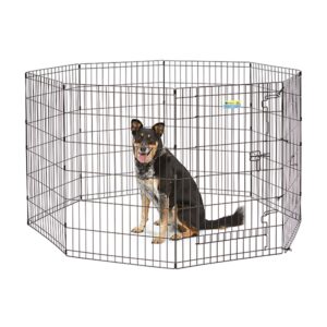 36" Black Exercise Pen with Full MAX Lock Door