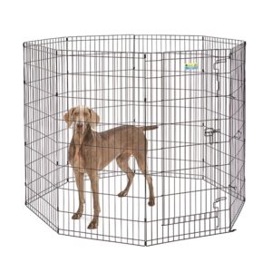 48" Black Exercise Pen with Full MAX Lock Door