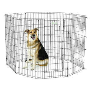 48" Black Exercise Pen with Full MAX Lock Door