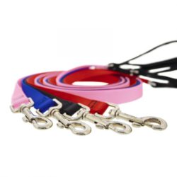 4 ft sales dog leash