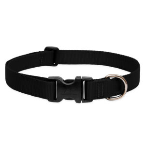 BASICS Adjustable Collar Black