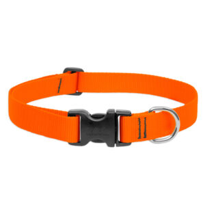 BASICS Adjustable Collar ORANGE