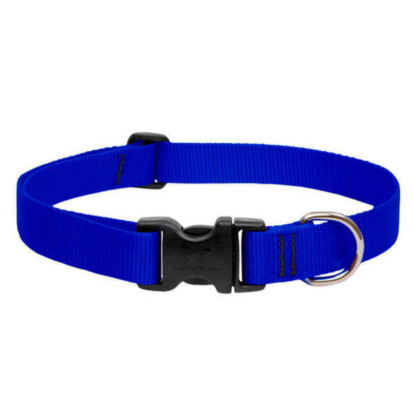 BASICS Adjustable Collar BLUE