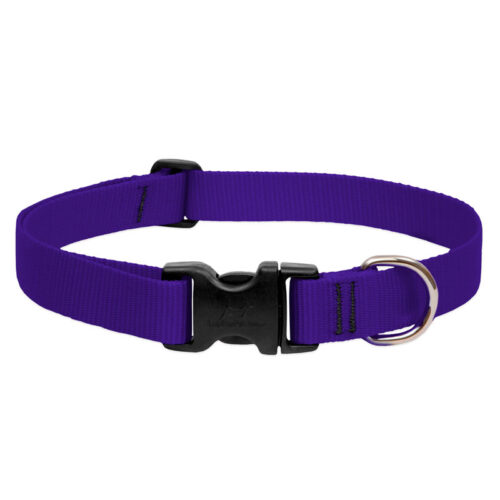 BASICS Adjustable Collar PURPLE for Dogs