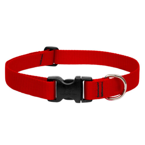 BASICS Adjustable Collar RED