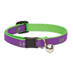 HAMPTON Puple Cat collar Club Blue With BELL