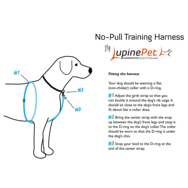 Basic Solids No Pull Training Harness for Dogs