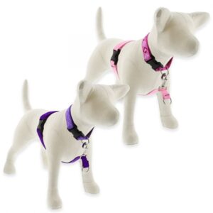 Basic Solids No Pull Training Harness