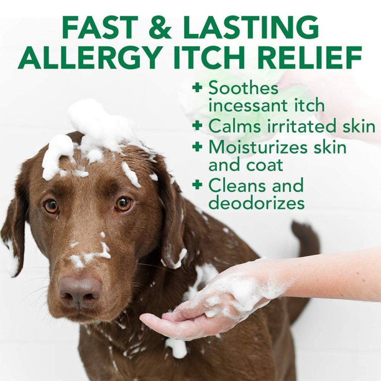 Vet s Best Allergy Itch Relief Dog Shampoo 16 Oz Naturally For Pets