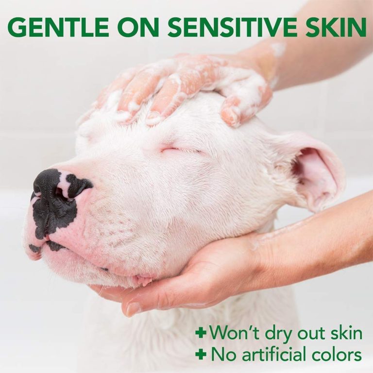 skin itch relief for dogs