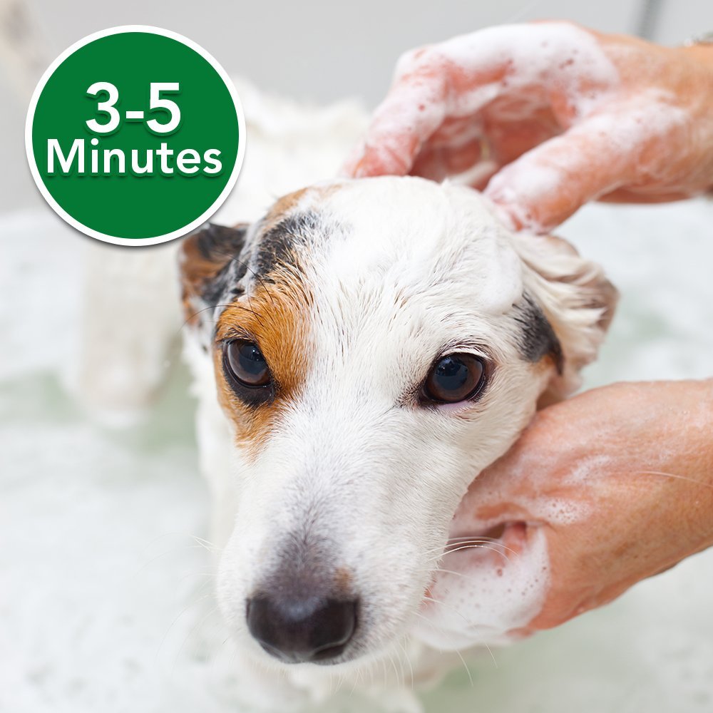 soothing itch relief for dogs