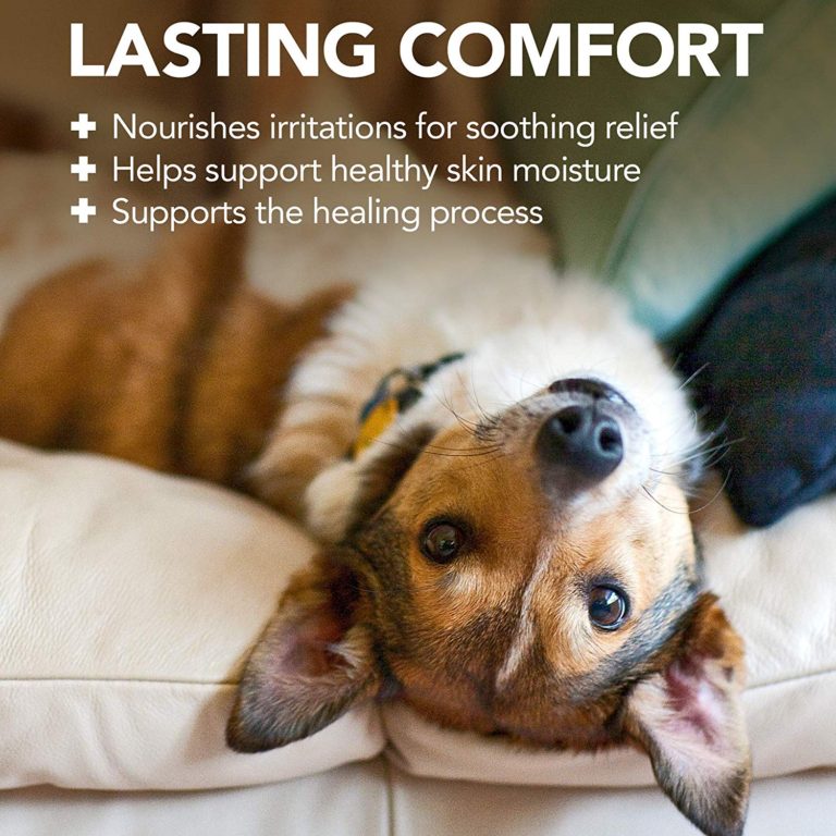 Vet's Best Hot Spot Foam (4oz) Naturally For Pets