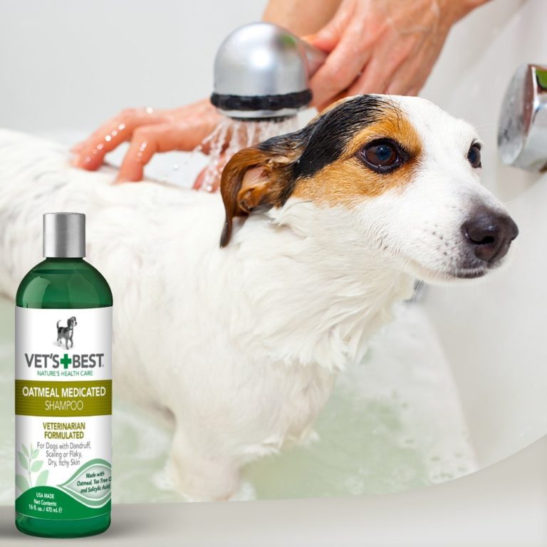 Vet's Best Oatmeal Medicated Dog Shampoo (16oz) Naturally For Pets
