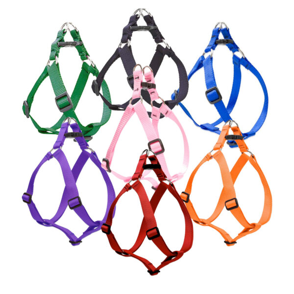 Basic Solids Step In Dog Harness 1 inch