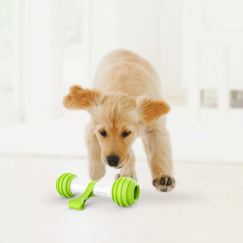 Electronic Playbone for dogs