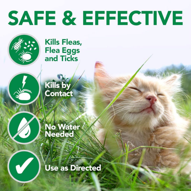 Vet's Best Flea and Tick Waterless Bath Foam for Cats 5oz Naturally