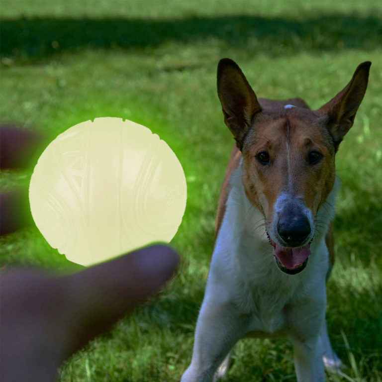 SKIPDAWG Neon Glow Dog Ball (Medium) Naturally For Pets