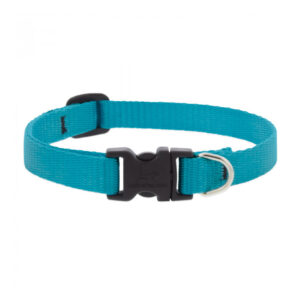 Basic Solids Dog Collar Aqua