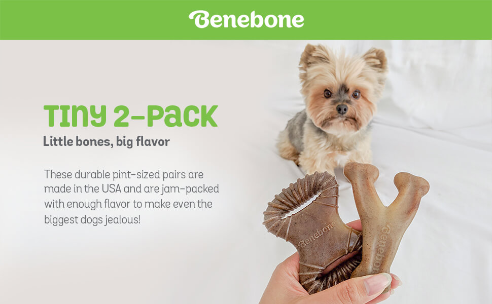 Benebone 2-Pack Dental Chew, Wishbone Bacon Tiny