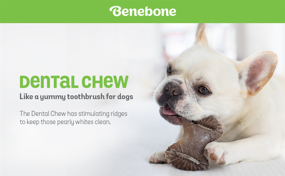 Benebone Bacon Flavor Dental Tough Dog Chew Toy