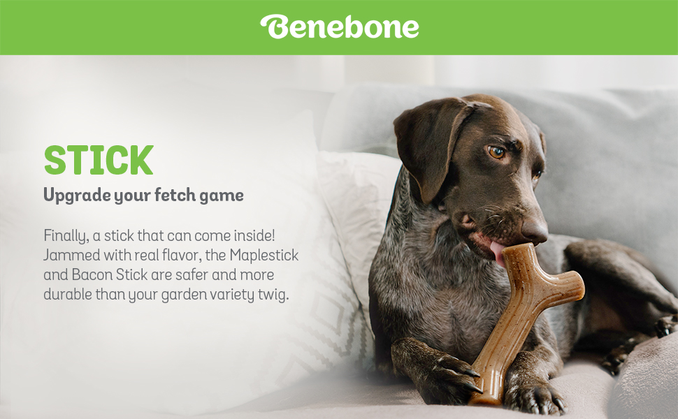 Benebone Maplestick Chew Dog Toy