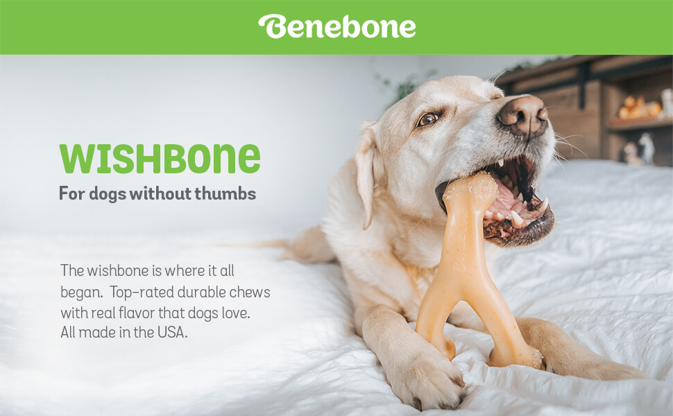 Benebone Wishbone banner - Benebone Puppy Wishbone Dog Chew Toy Bacon