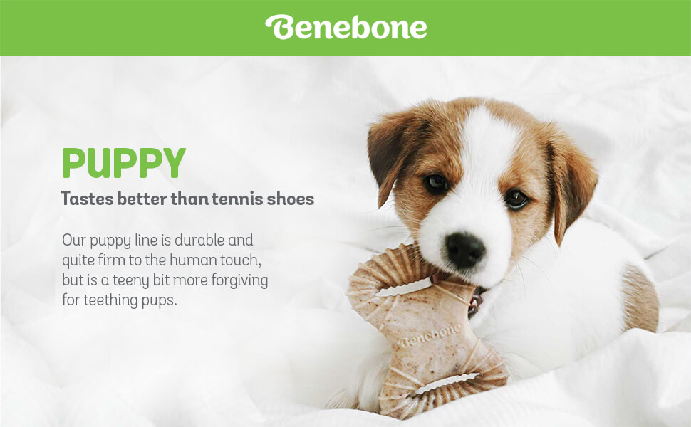 Benebone puppy banner - Benebone Puppy 2-Pack Dental Chew Wishbone Tiny Bacon