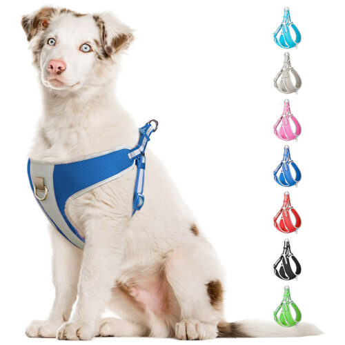 Fida Step-in Dog Harness - Reflective