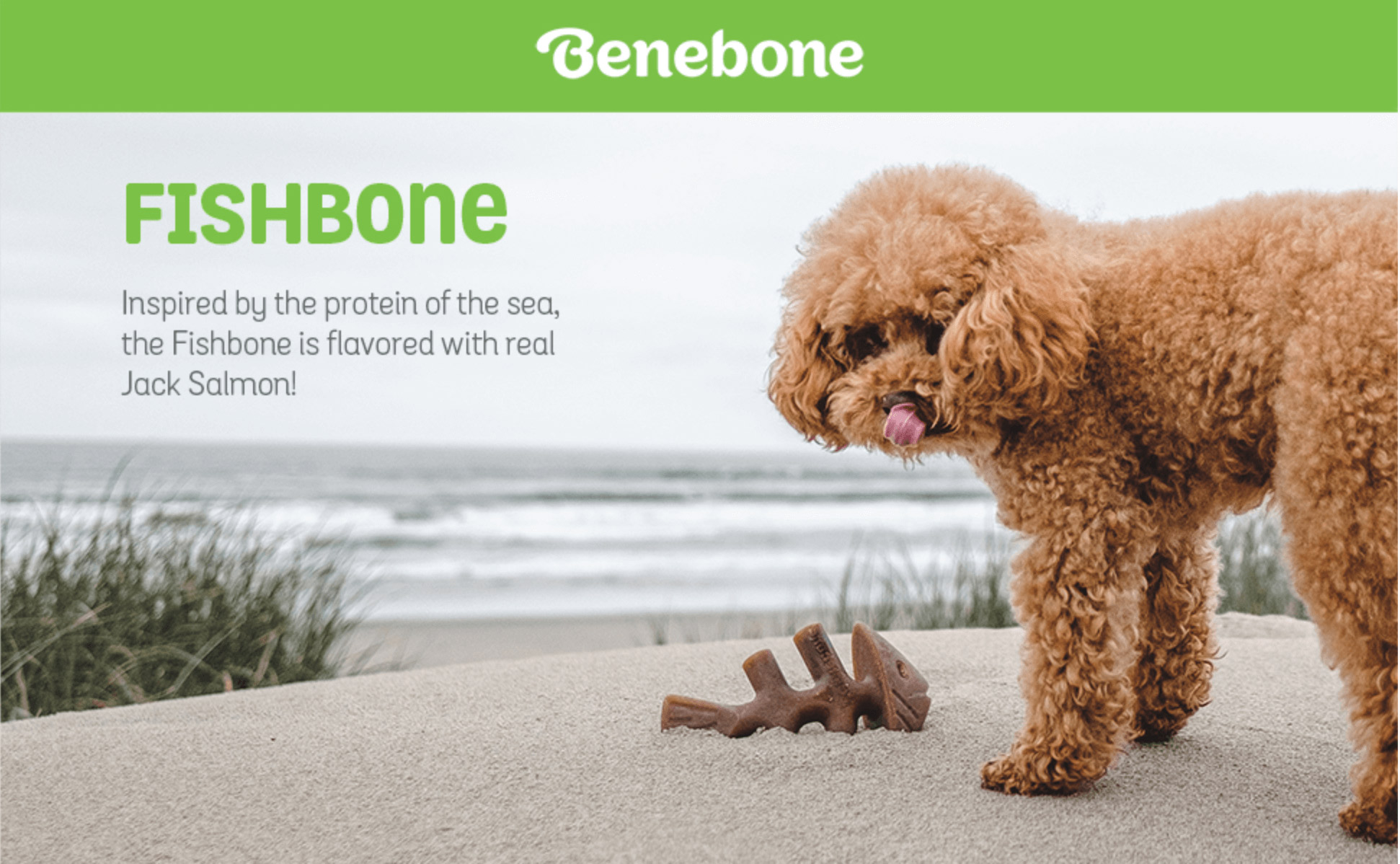 Benebone Fish Bone
