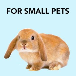 Small Pets Supplies, Rabbit Food, Chinchilla Food, Guinea Pig Food, Hamster food, Dubai, UAE, Middle East