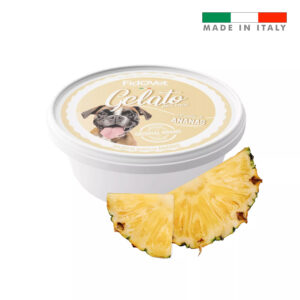 FidoVet Gelato Ice Cream for Dogs Pineapple