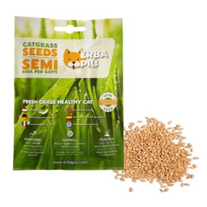 Erba Piu Cat Grass Seeds