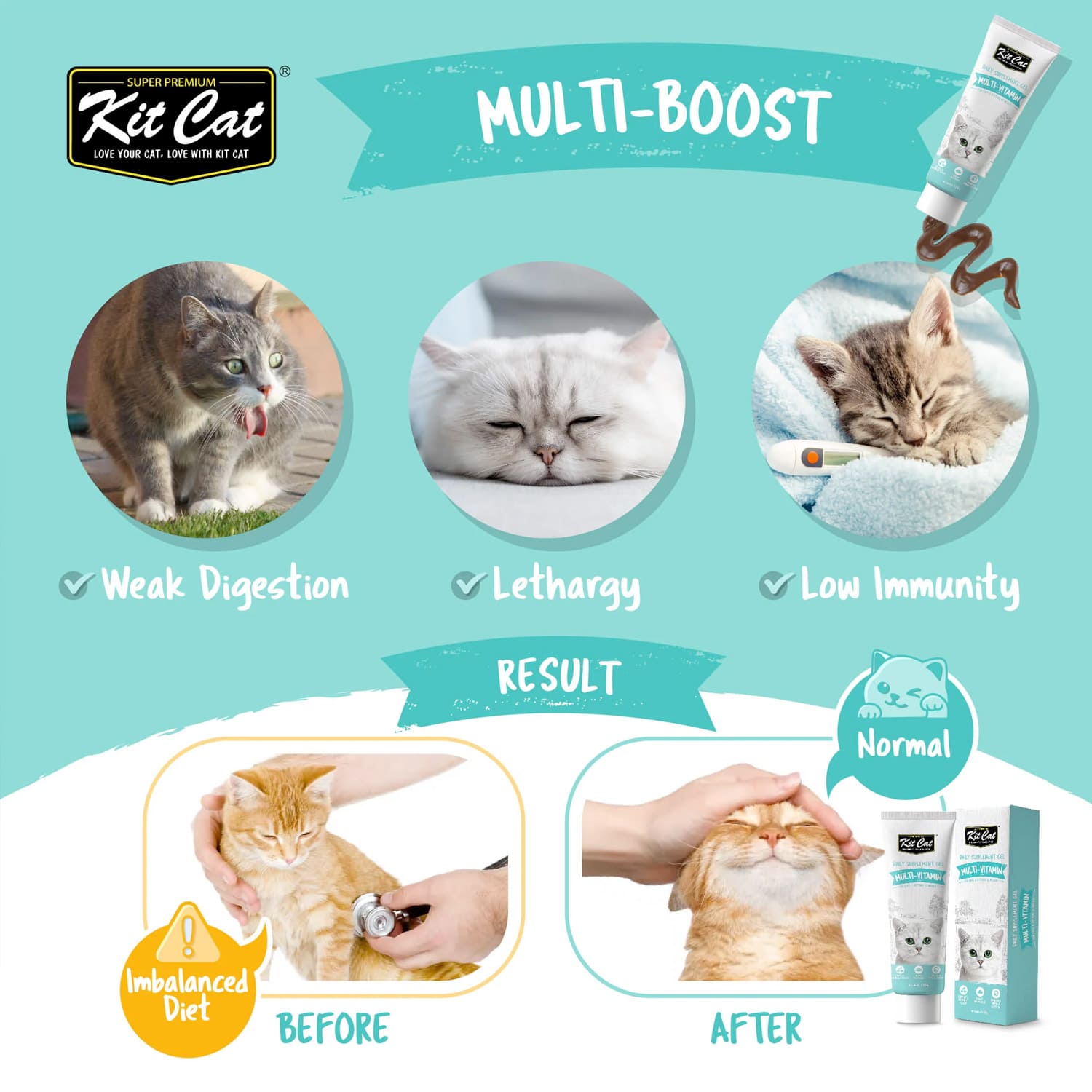 Kit Cat Daily Nutritional Supplement Gel For Cats & Kittens - Multi-Vitamin (120g) - Image 2