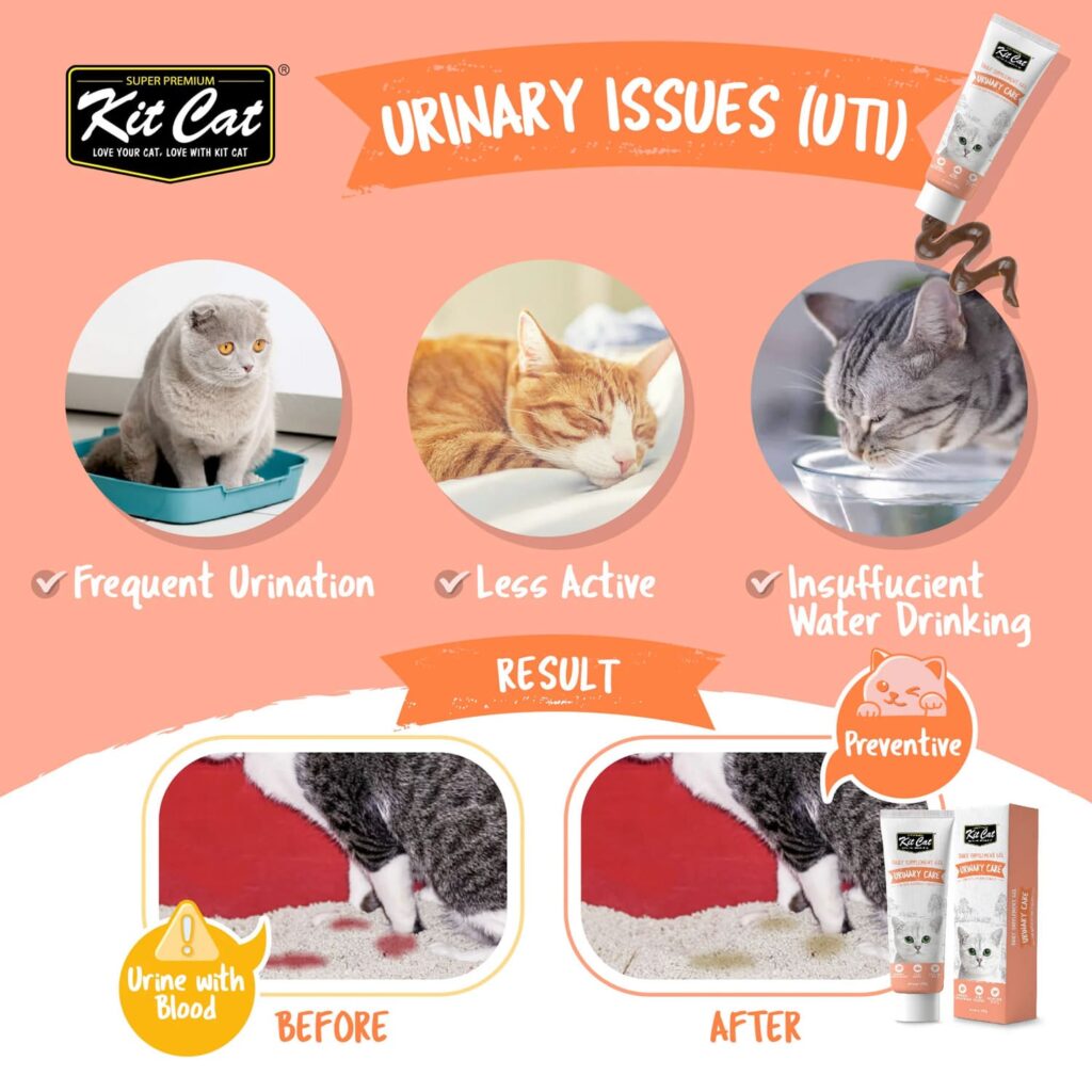Fresh Look at Kit Cat Daily Nutritional Supplement Gel For Cats Kittens