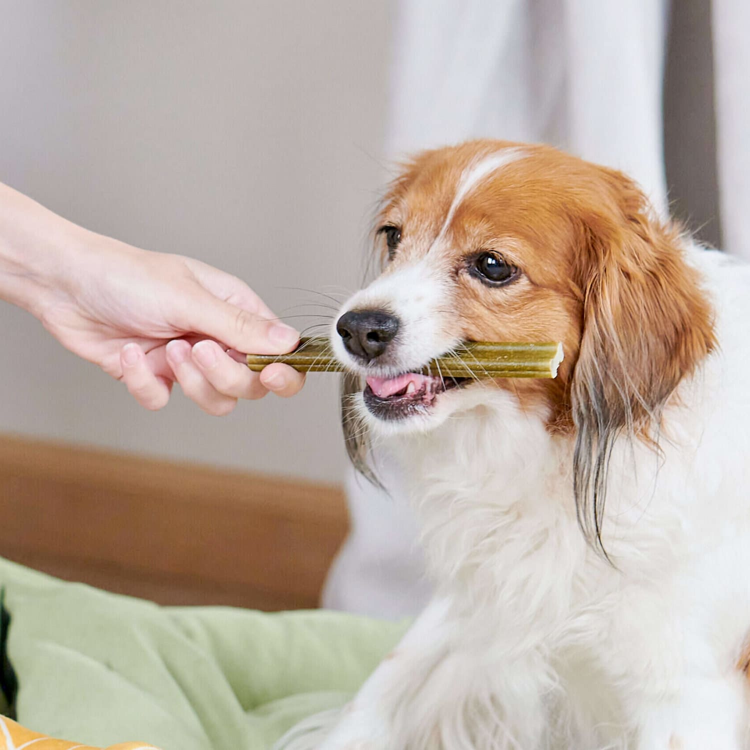 Whimzees Soft Daily Dental Dog Treats Value Bag - X Small (56 pcs) - Image 8