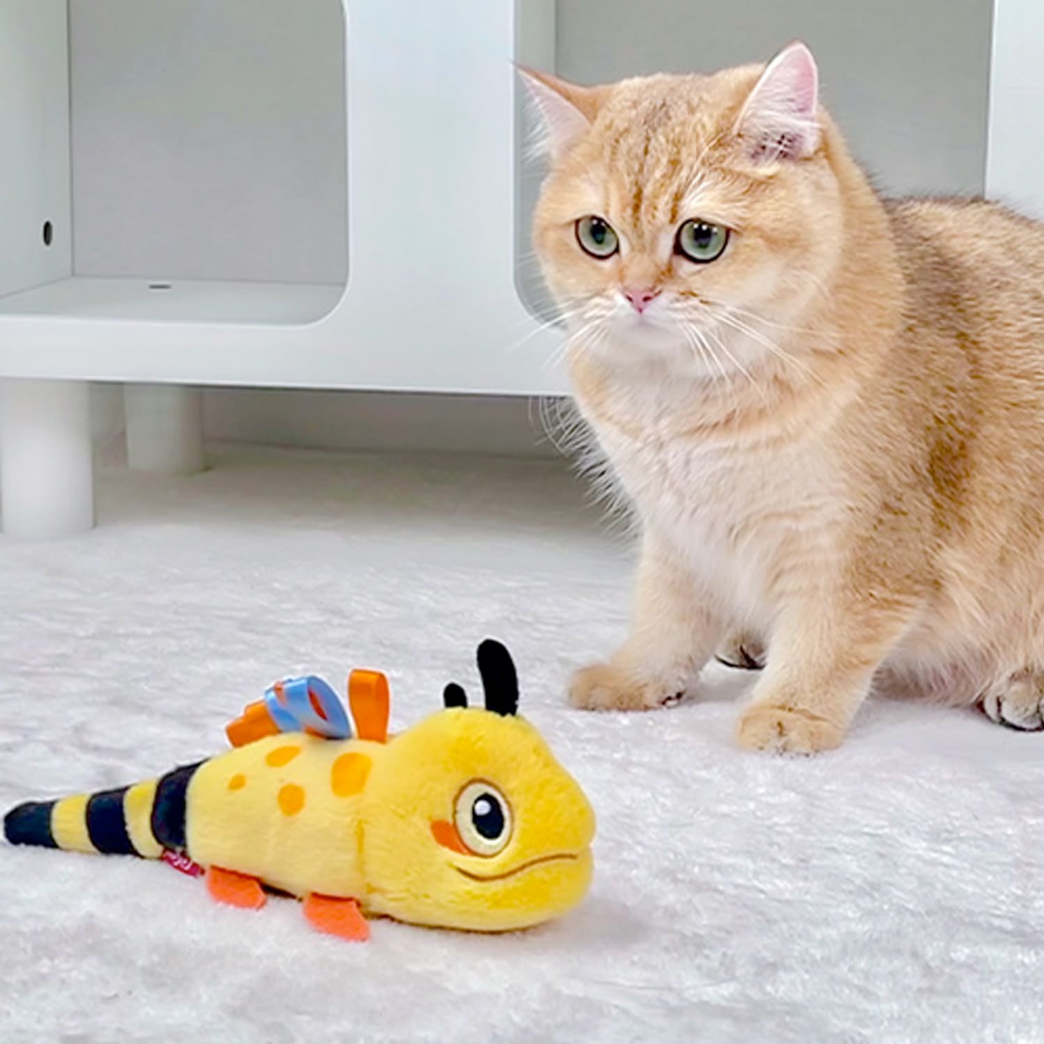 Swinging Tail Lizard - Image 5