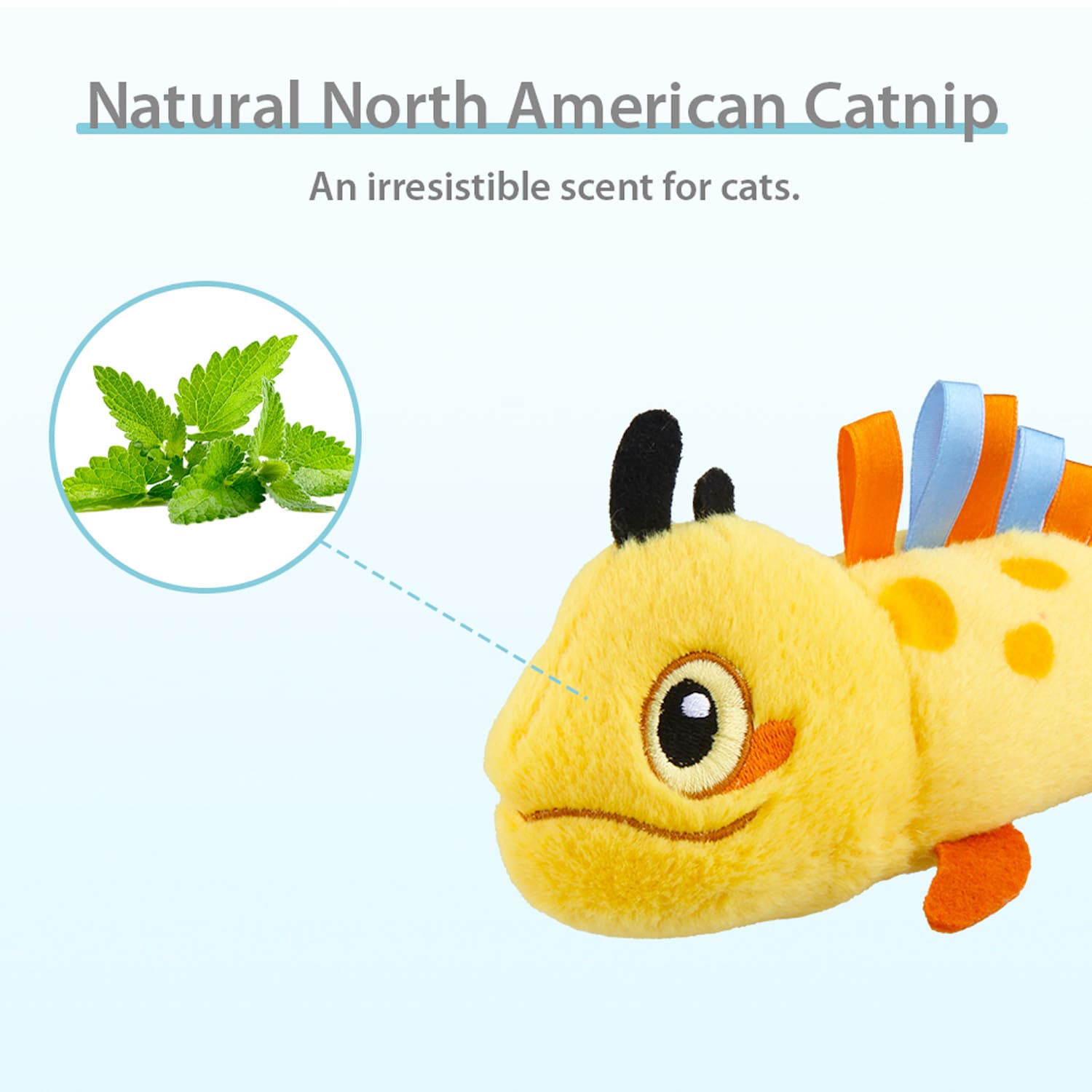 Swinging Tail Lizard - Image 6